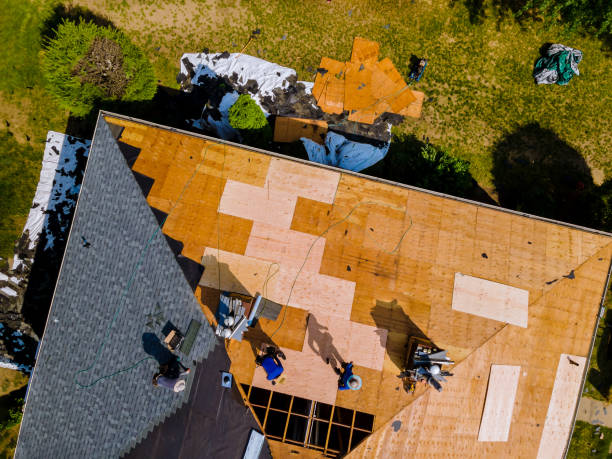 Best Flat Roof Repair Services  in Carle Place, NY