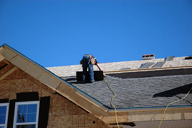 Best Storm Damage Roof Repair  in Carle Place, NY
