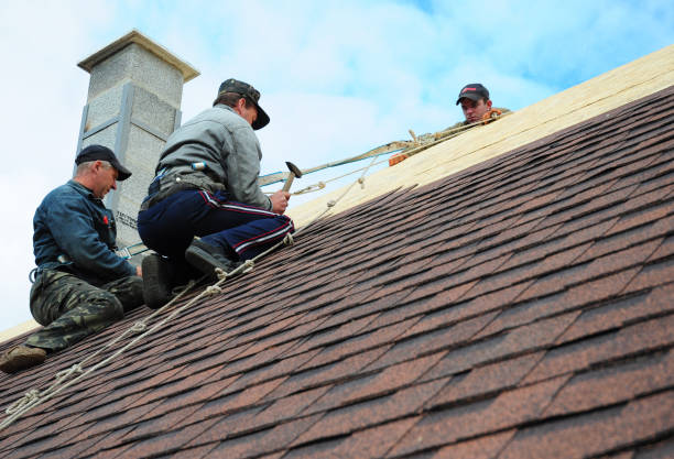 Best Storm Damage Roof Repair  in Carle Place, NY